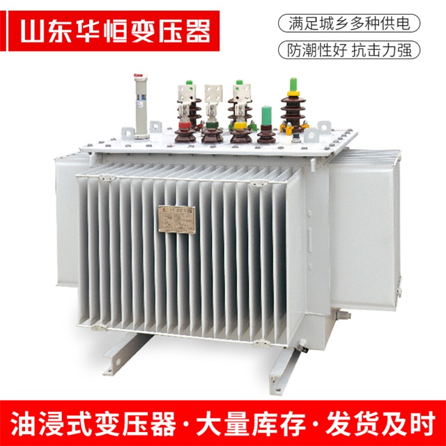 S13-10000/35绥滨绥滨绥滨电力变压器