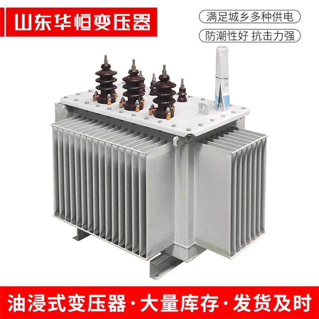 S13-10000/35绥滨绥滨绥滨油浸式变压器厂家
